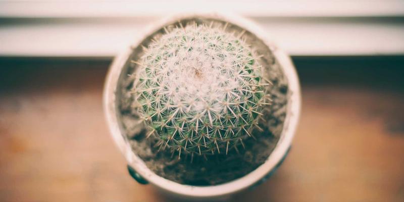 专业护理与医疗咨询：职场人士如何逆转代谢综合征这个隐形健康杀手