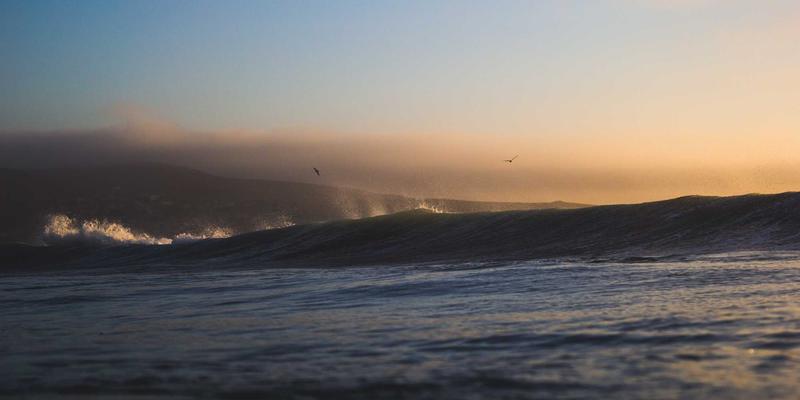 专业护理与原木风健康：医疗健康新趋势的人文温度