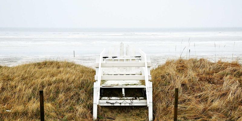 从医疗健康到原木风健康：融合现代护理与自然理念的老年健康新思路