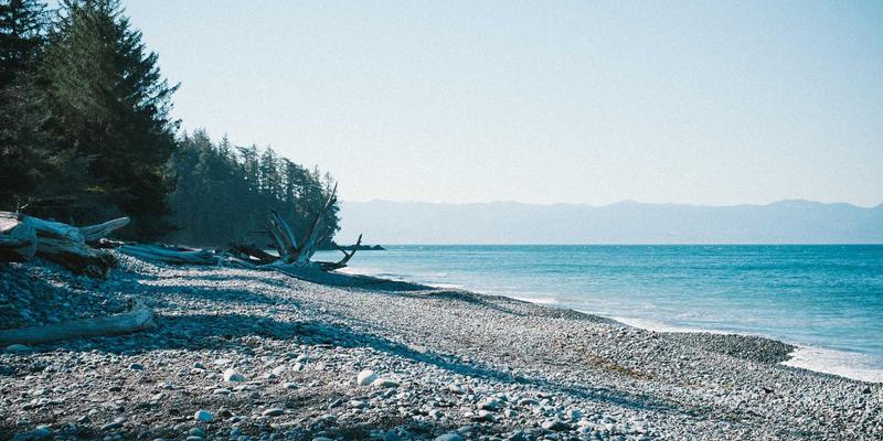 儿童过敏性鼻炎综合护理指南：从家庭环境控制到科学用药