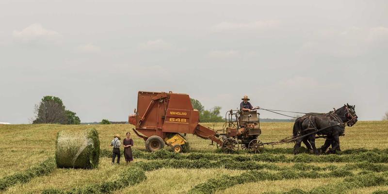 医疗咨询、健康服务与老年护理：构建全周期健康守护体系