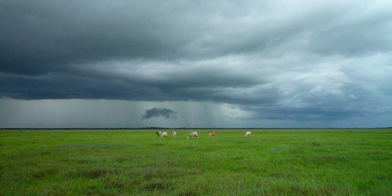 原木风健康：将自然疗愈力融入现代家庭护理的智慧