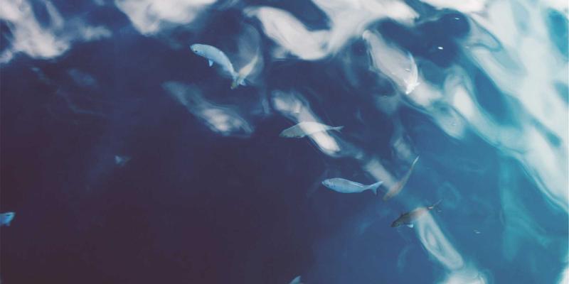 原木风健康新篇章：基因检测如何为心血管与精神健康用药提供精准导航