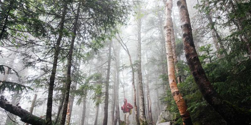 如何为父母选择靠谱的养老机构？原木风健康环境与专业老年护理的评估指南