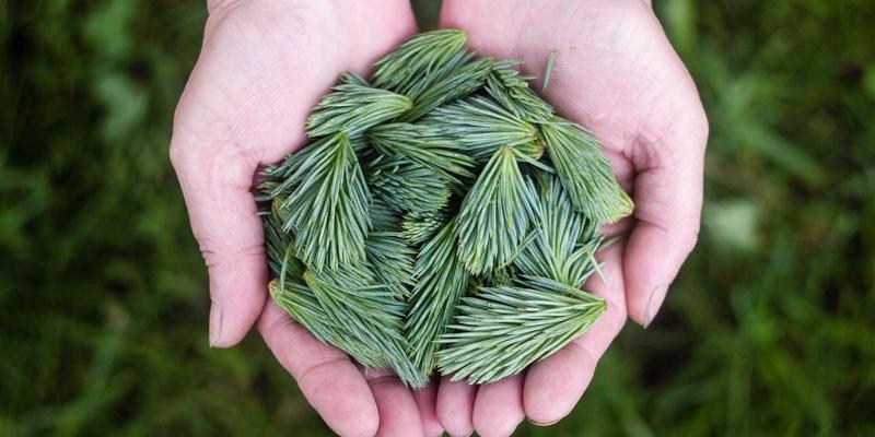 家庭护理与康复护理：构筑医疗健康体系的温暖基石