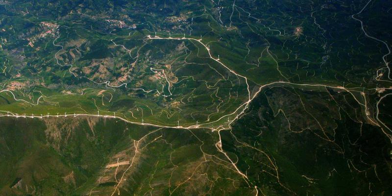 家庭护理新视角：肠道菌群平衡如何成为整体健康的核心