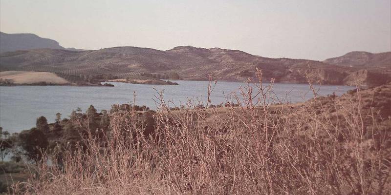 家庭护理、老年护理与康复护理：构建全周期健康支持体系