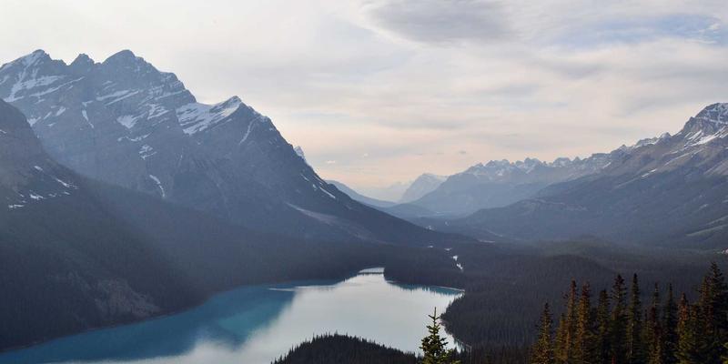 居家腹膜透析操作规范与感染防控全攻略：专业护理守护医疗健康