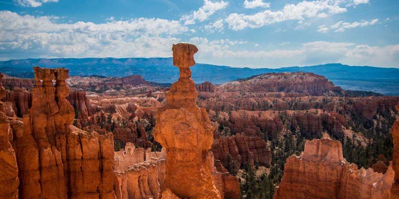 老年护理与家庭医疗健康最佳实践：专业指南与贴心建议