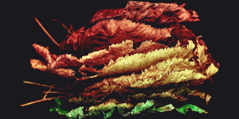 老年护理新突破：神经调控疗法与多模式镇痛如何重塑慢性疼痛管理