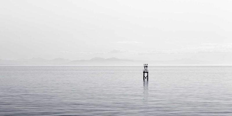 老年护理新视角：过敏性鼻炎的阶梯式治疗与原木风健康家居改造