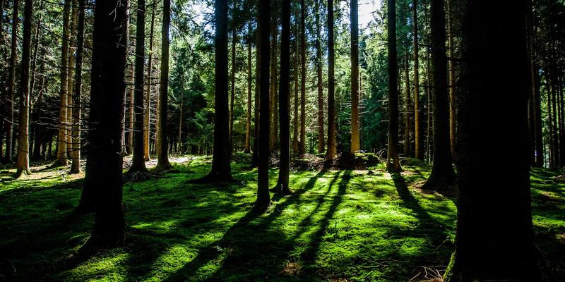 运动损伤进阶康复指南：超越RICE原则的现代物理治疗与功能训练